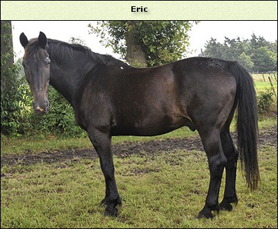 Eric