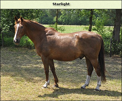 Starlight