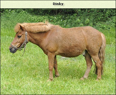 Dinky