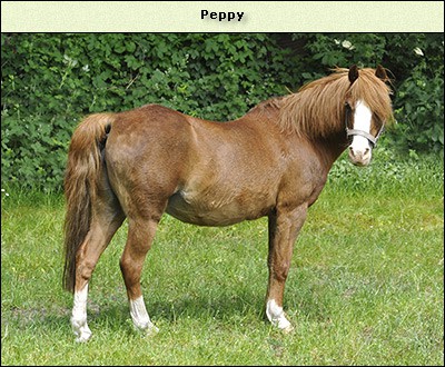 Peppy