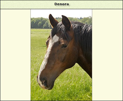 Denora