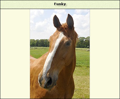 Funky