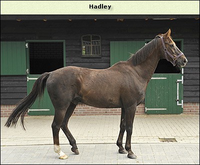 Hadley