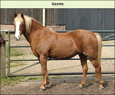 Gerrie