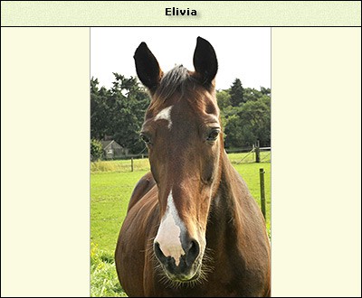 Elivia