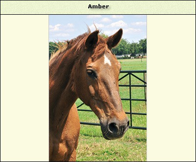 Amber