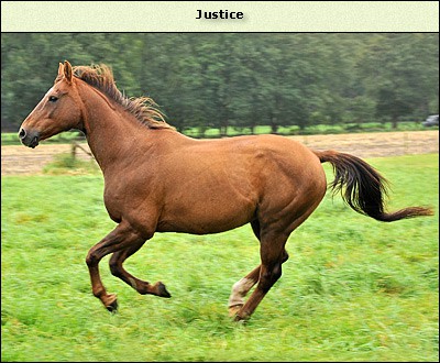 Justice