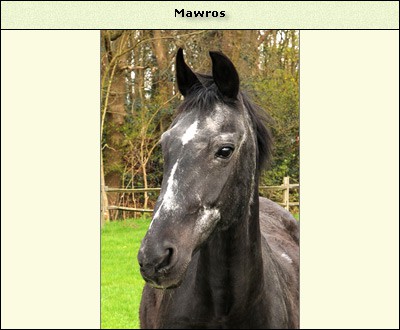 Mawros
