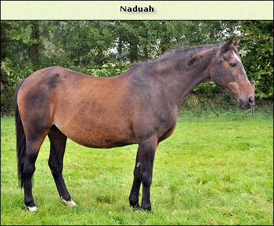 Naduah