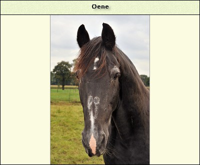 Oene