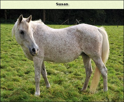 Susan