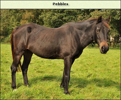 Pebbles