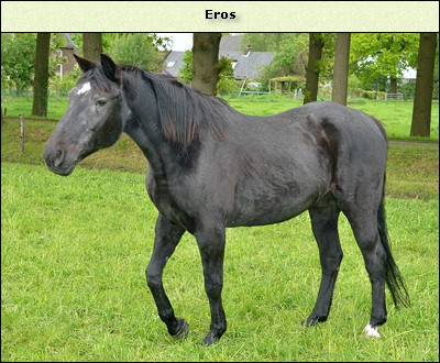 Eros