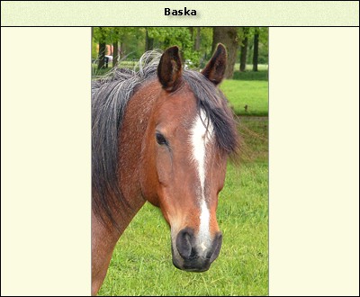 Baska