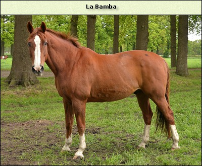 La Bamba
