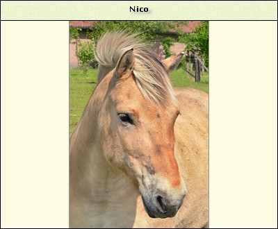 Nico