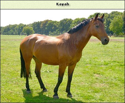 Kayah