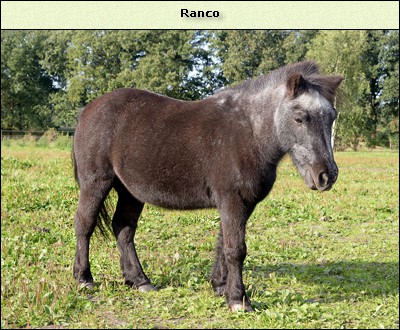 Ranco