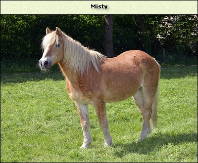 Misty