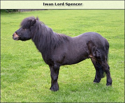 Iwan Lord Spencer
