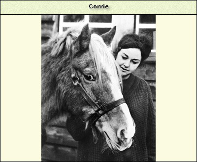 Corrie