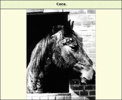 Cora
