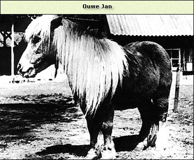 Jan (ouwe)