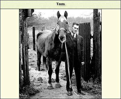 Tom