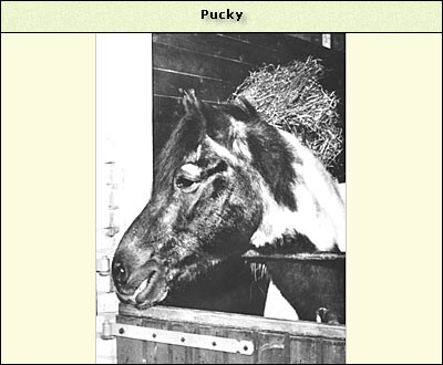 Puckie