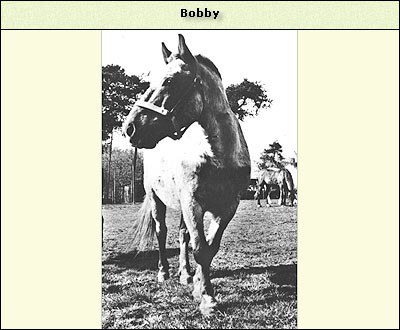 Bobby