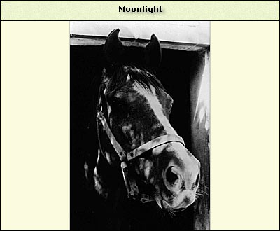 Moonlight