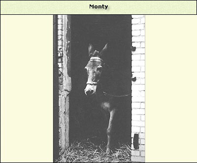 Monty