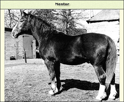 Mentor