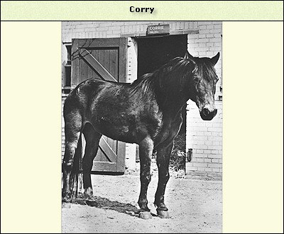 Corrie
