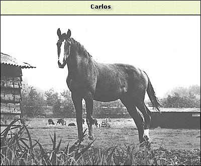 Carlos