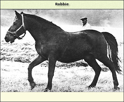 Robbie