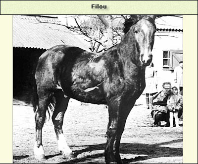 Filou