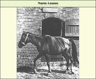 Marie Louise