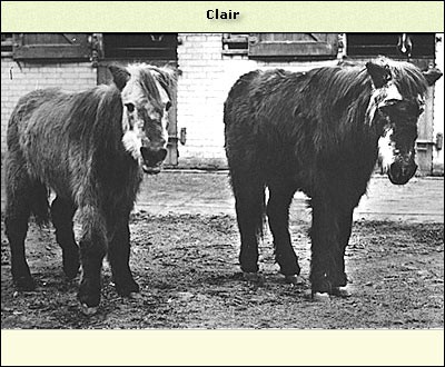 Clair