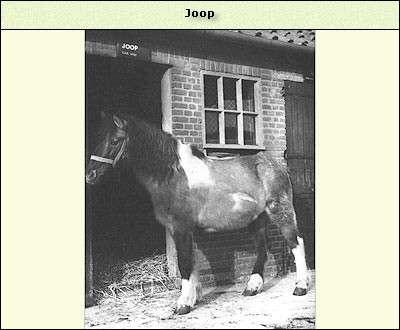 Joop