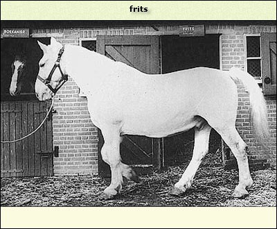 Frits