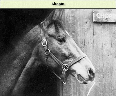 Chopin (Choop)