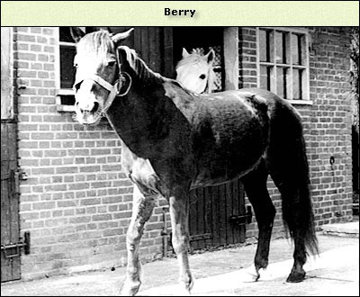 Berrie