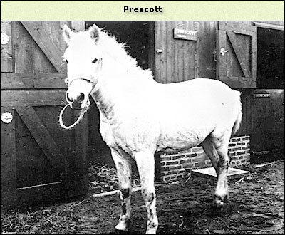 Prescott