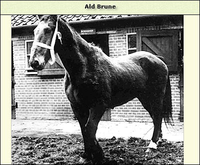 Bržne