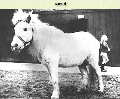 Astrid