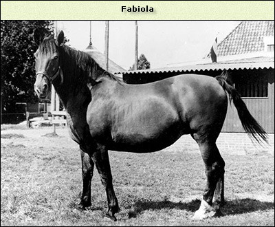 Fabiola