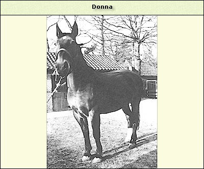 Donna