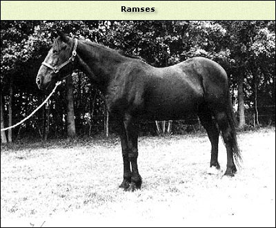 Ramses