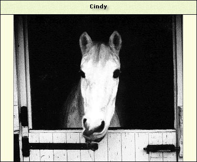 Cindy
